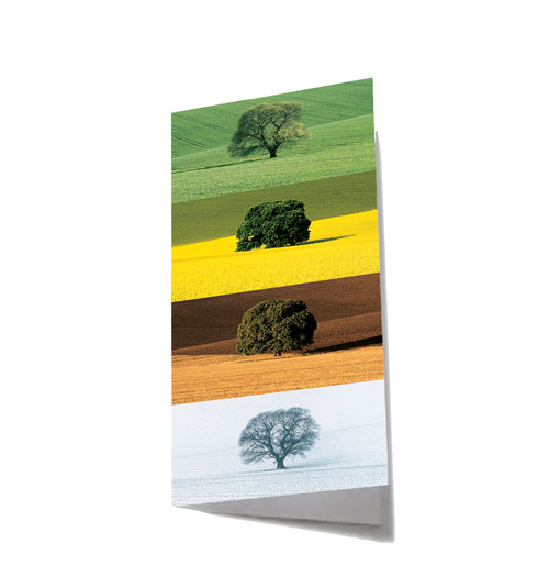 Greeting Card 99mm x 210mm Portrait