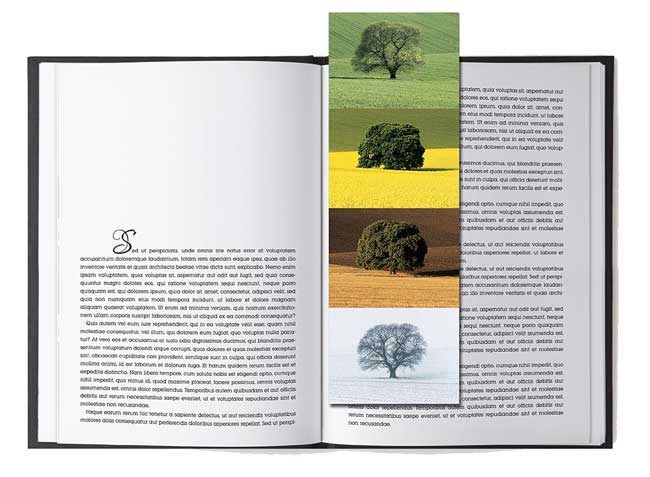 Bookmark from artwork