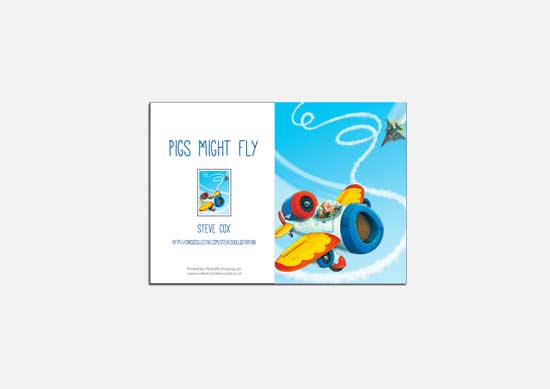 75mm x 105mm (3ins x 4ins)