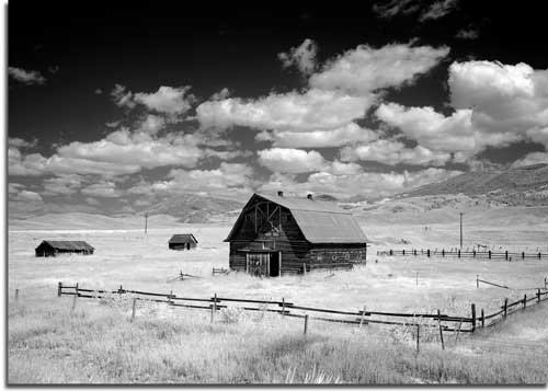 A5 Postcards - 210mm x 148mm from artwork